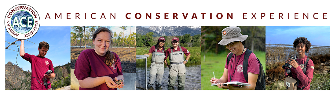 American Conservation Experience - EPIC 